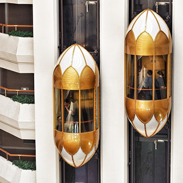 Capsule Elevator