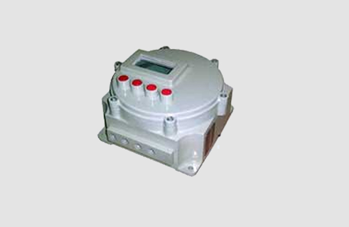 Weighing Machine Control Panels