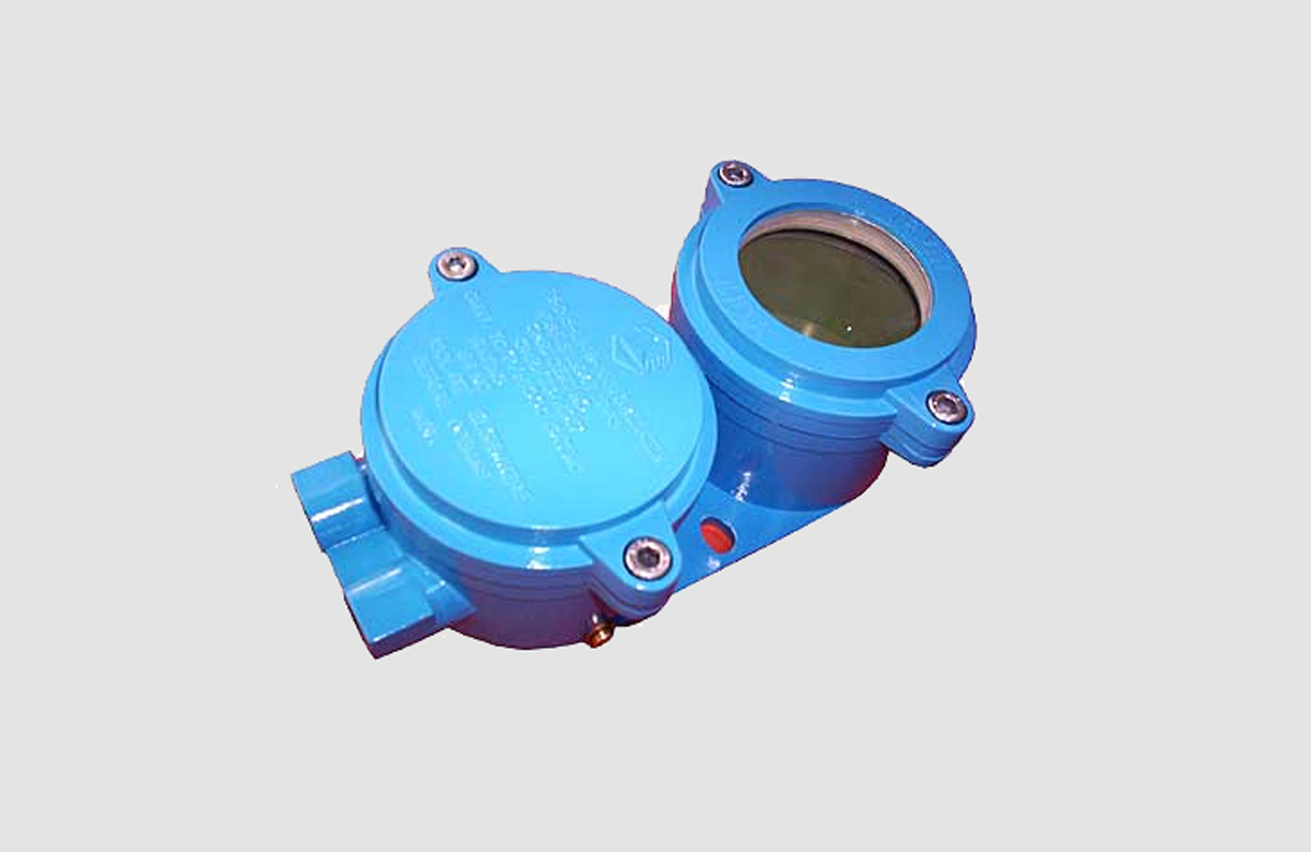 flameproof Digital Indicator