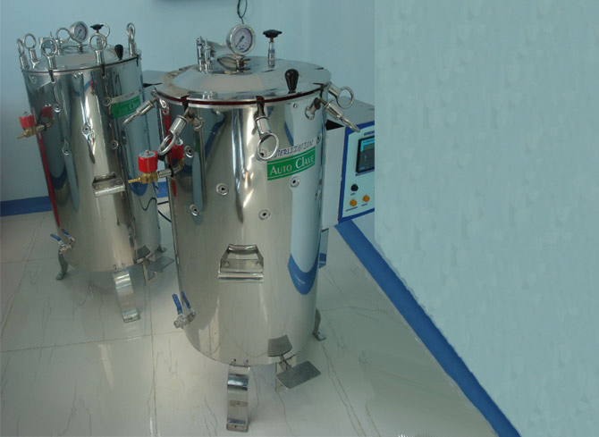 Auto Clave Vertical