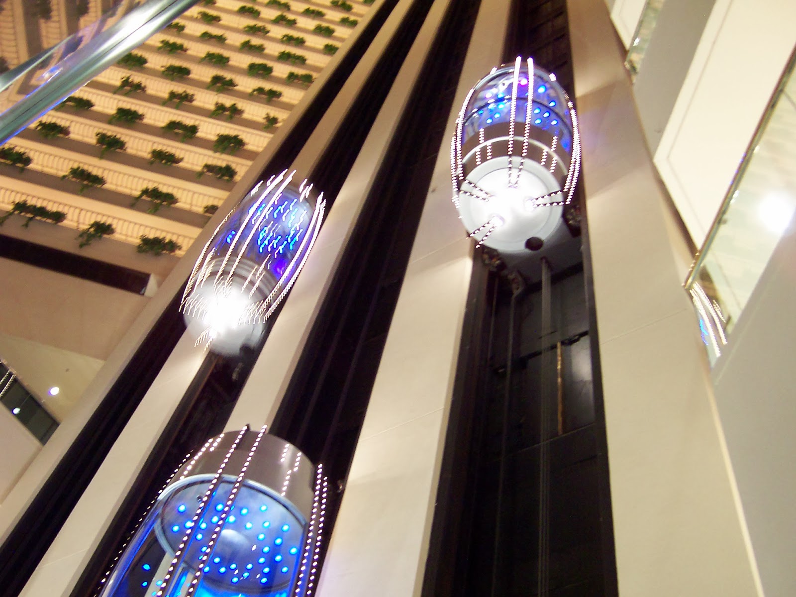 Capsule Elevators
