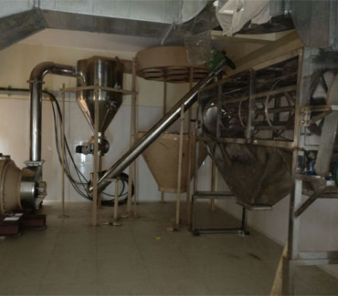 Besan Plant