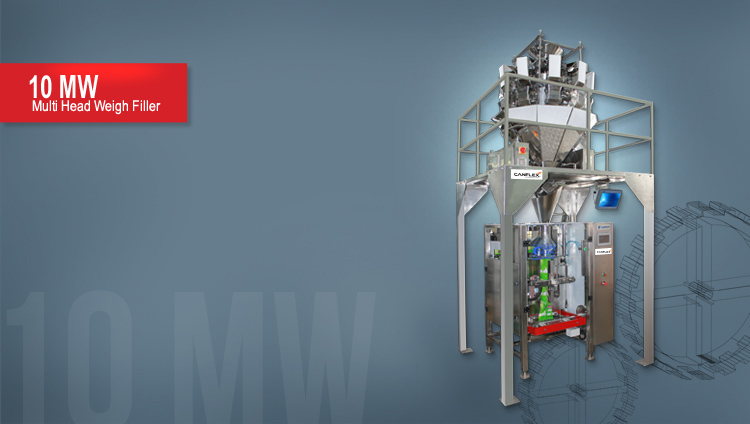 Multi Head Weigh Filler Machines