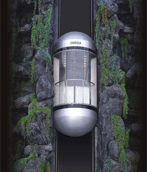 Capsule Elevators