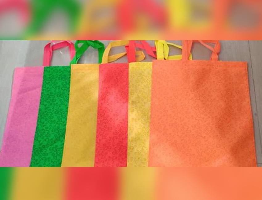 Non-Woven Fabric Bags