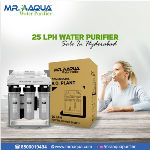 25 LPH RO Water Purifier