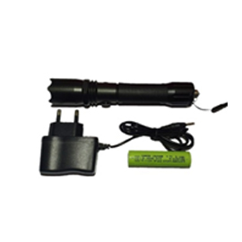 LED Flash Light Model: D-1