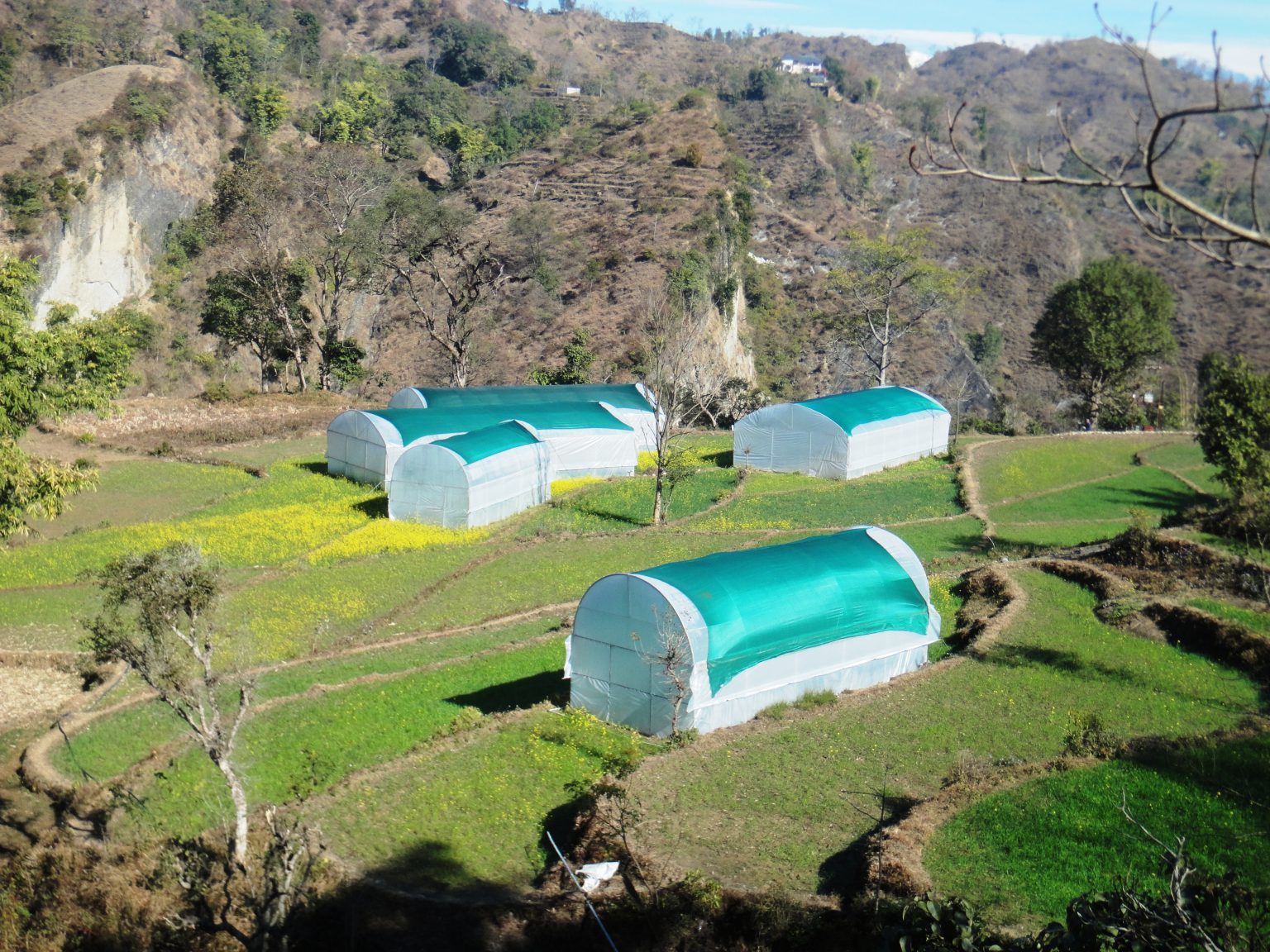 Promotion of Agriculture & Horticulture