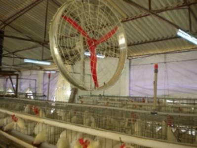 Foggers System
