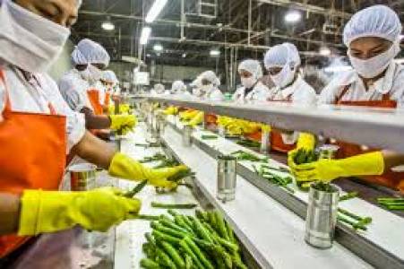 Food processing industry