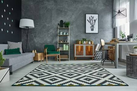 Carpet Cleaning Service