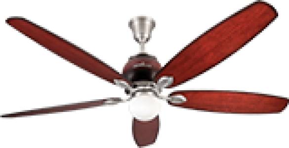 Ceiling Fans