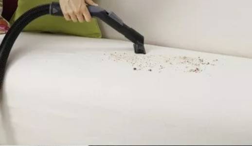 Sofa Cleaning