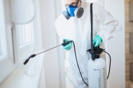 Pest Control