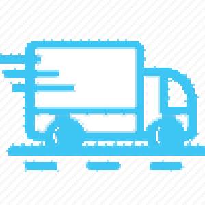 Express Service