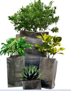 Plant Grow Nursery Bags