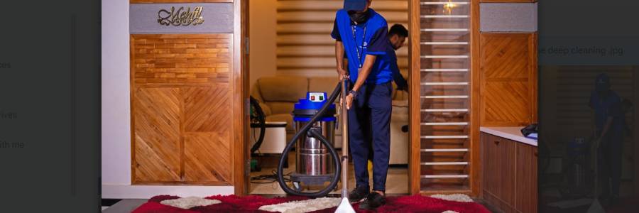 Carpet Shampooing