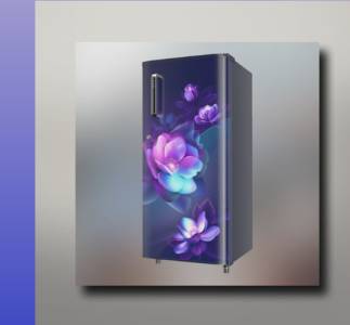 Single Door Refrigerator Repair in Bhopal