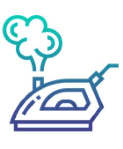 Steam Iron