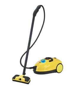 Steam Cleaner