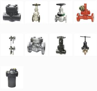 Sant Valves