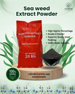 SEAWEED POWDER GRADE 1