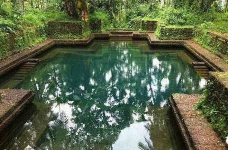 Pond Cleaning