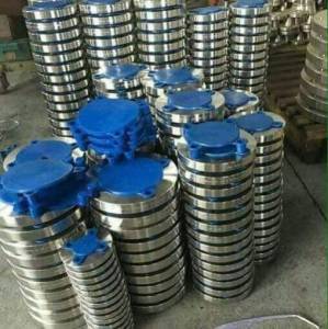 Stainless Steel Flanges