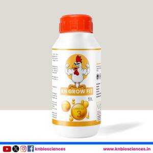 Kn Grow Fit - Best Poultry Nutrition
