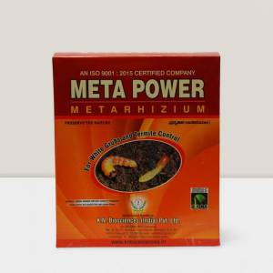 Meta power | The Best Powerful Soil Termites Control - Metarhizium anisoplea