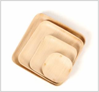 Areca Food Trays