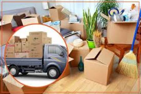 Domestic Relocation