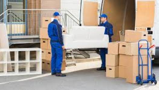 Domestic Shifting