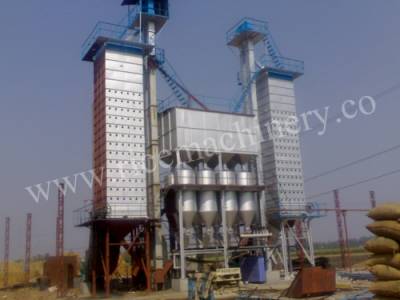 Paddy Steaming Plant