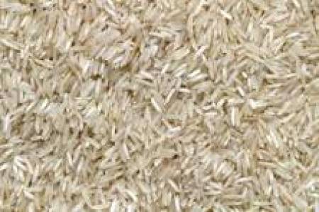 Basmati Rice