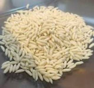 Fortified Rice Kernels