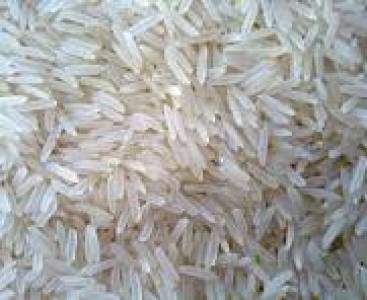 Pusa Basmati Rice