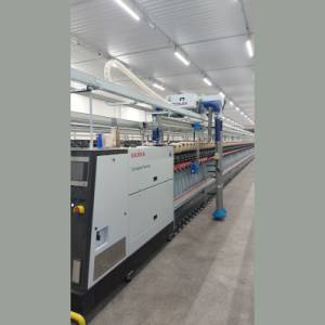 Chain Link Model