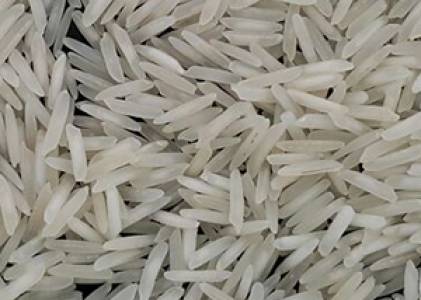 Raw Basmati Rice
