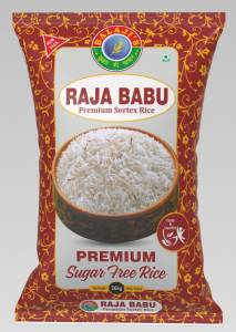 Raja Babu