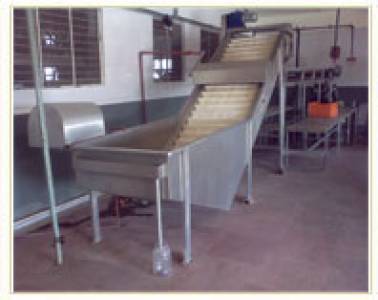 Fruit And Vegetable Washer