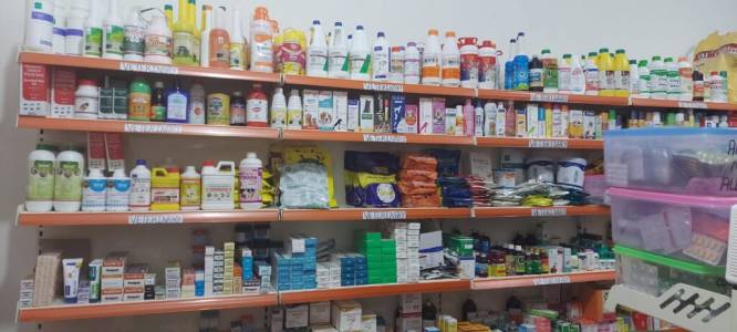 Pharmacy Display Racks