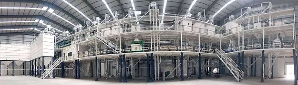 Paddy Parboiling & Dryer Plant