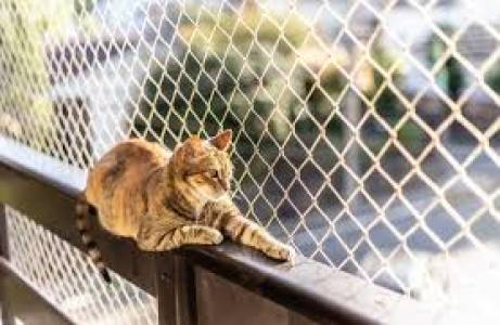 Pets Safety Nets