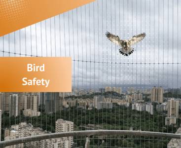 Bird-Proof Design