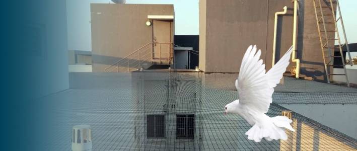 HDPE BIRD NET