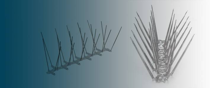 Bird Spikes