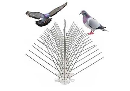 BIRD SPIKES