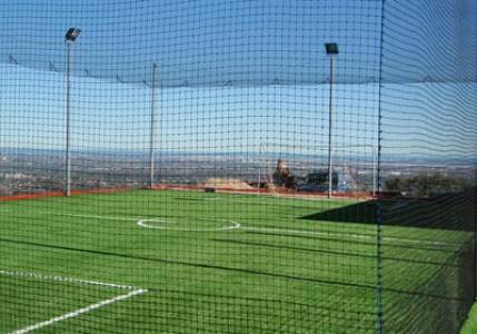 Cricket Net