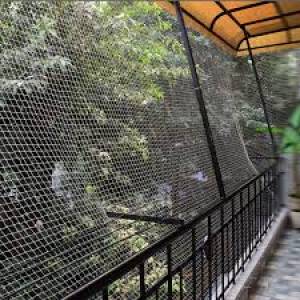 BIRDS NET